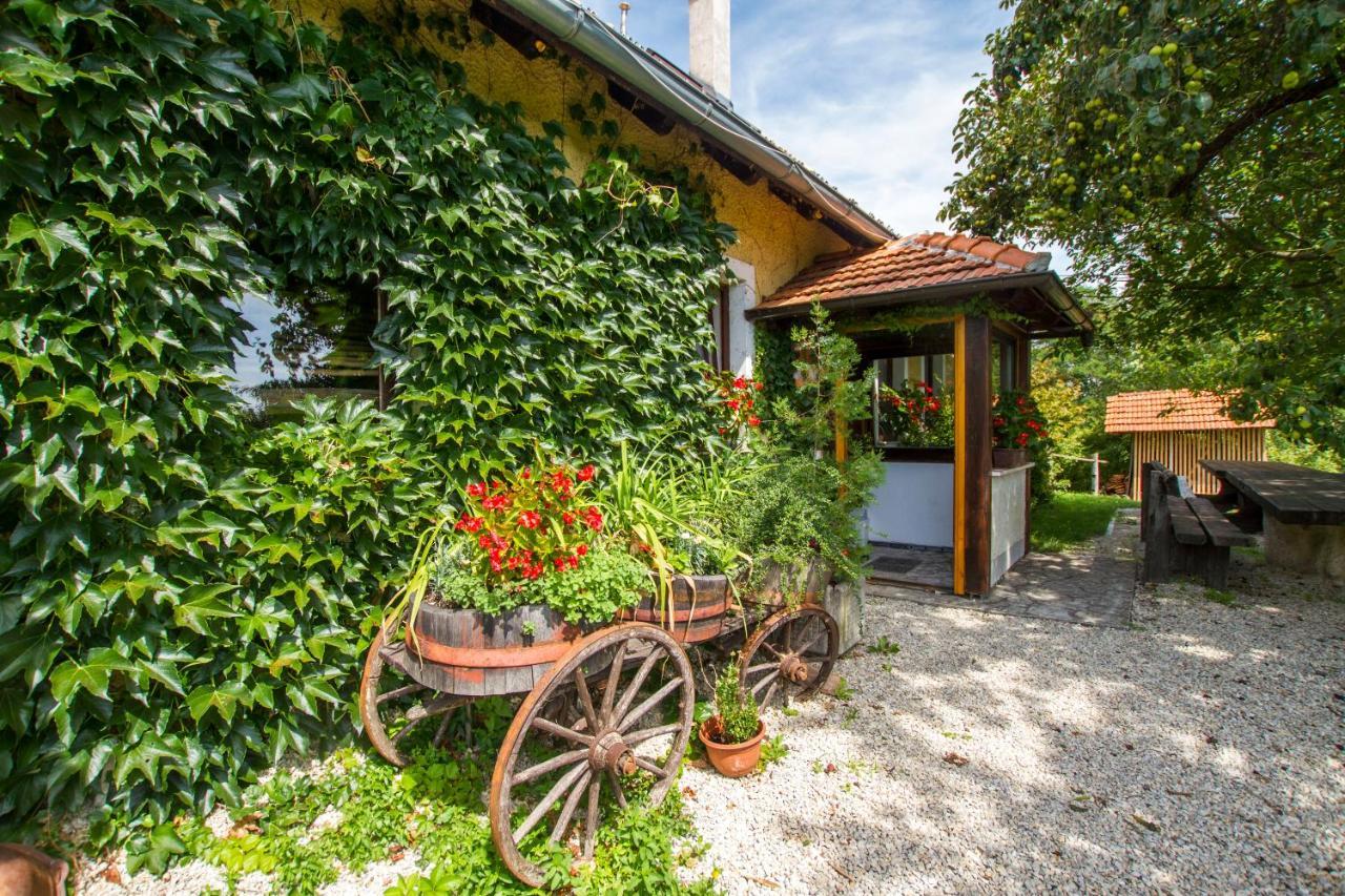 Holiday Home Juricko With Private Sauna Bizeljsko Bagian luar foto